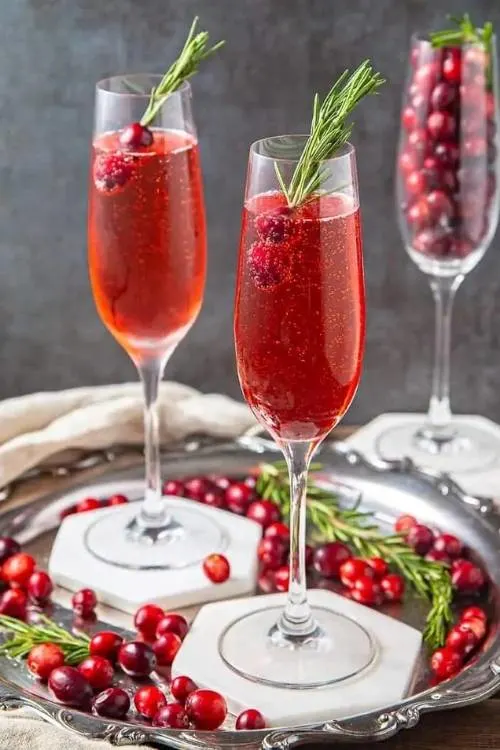 30 Amazing cocktails for your Christmas party
